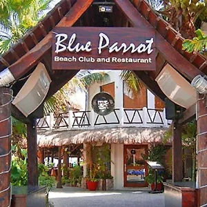 Hotel Blue Parrot, Playa del Carmen
